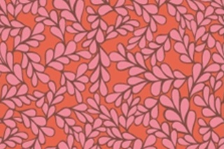 Afbeelding van Poplin - Boxwood Coral (SOLD OUT)