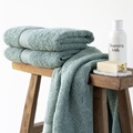 Guest towel 30x50 - Mineral Green (989045) 