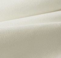 Offwhite Heavy Canvas (652001)-2